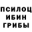 Псилоцибиновые грибы Magic Shrooms tubepiano
