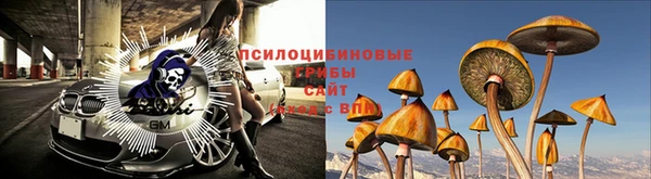 дмт Алзамай