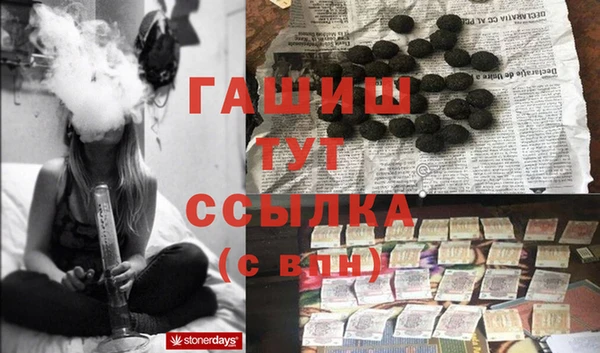 дмт Алзамай