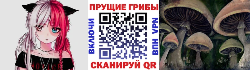 Галлюциногенные грибы GOLDEN TEACHER  Пушкино 